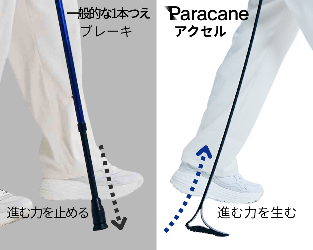 普通の杖とParacaneの違い