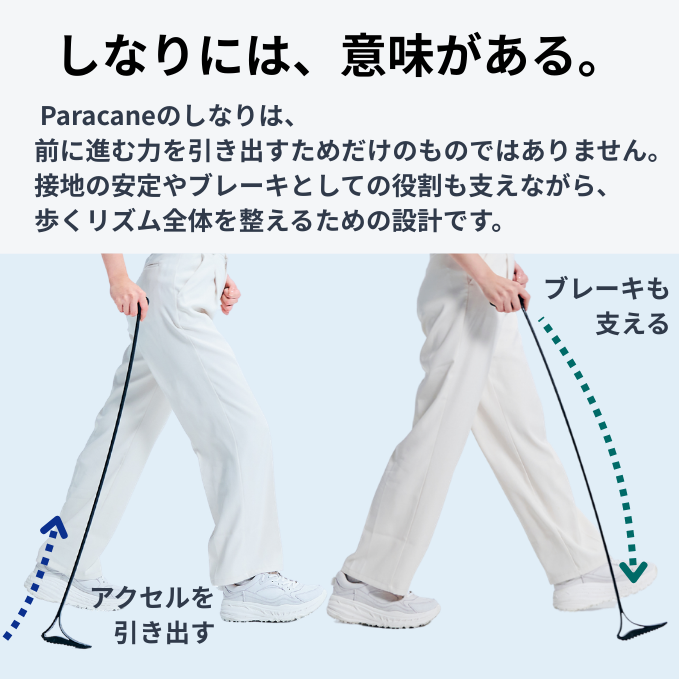 歩行中のParacaneの杖のしなりを示す図。前に進む力を引き出すアクセルの役割と、接地時のブレーキを支える構造を表している。